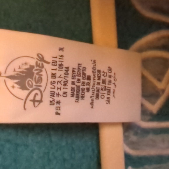 Disneyland Castle Teal Hoodie, L - Picture 9 of 10